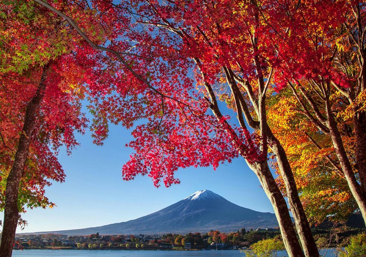 富士山金魚 Fujisan Kingyo Villa Fujikawaguchiko Buitenkant foto